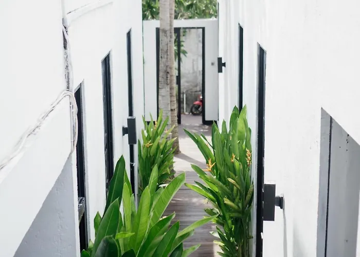 Escotel Jalak 3* Canggu